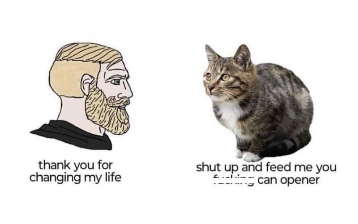 meme kucing tentang makanan kaleng