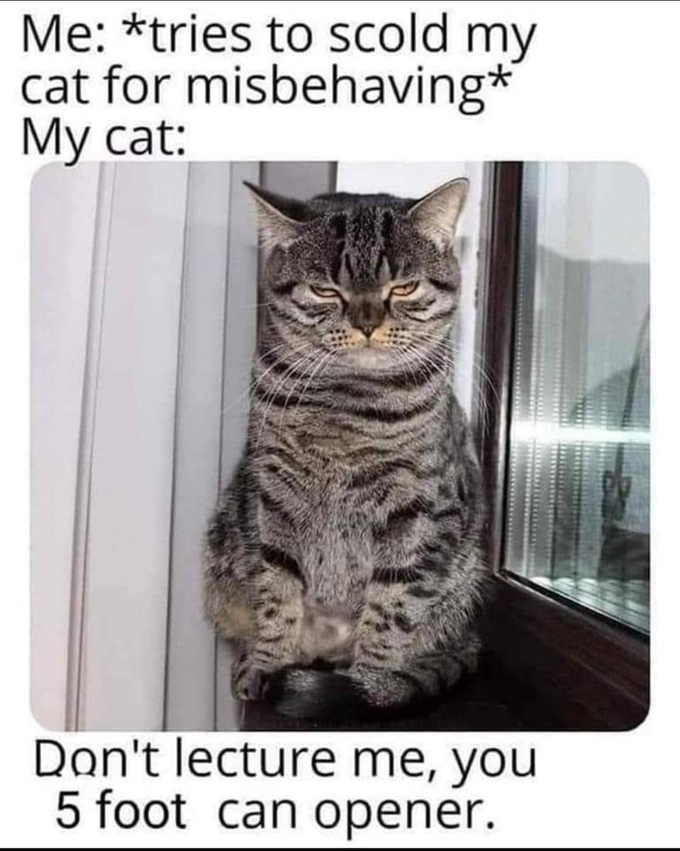 meme kucing tentang makanan kaleng