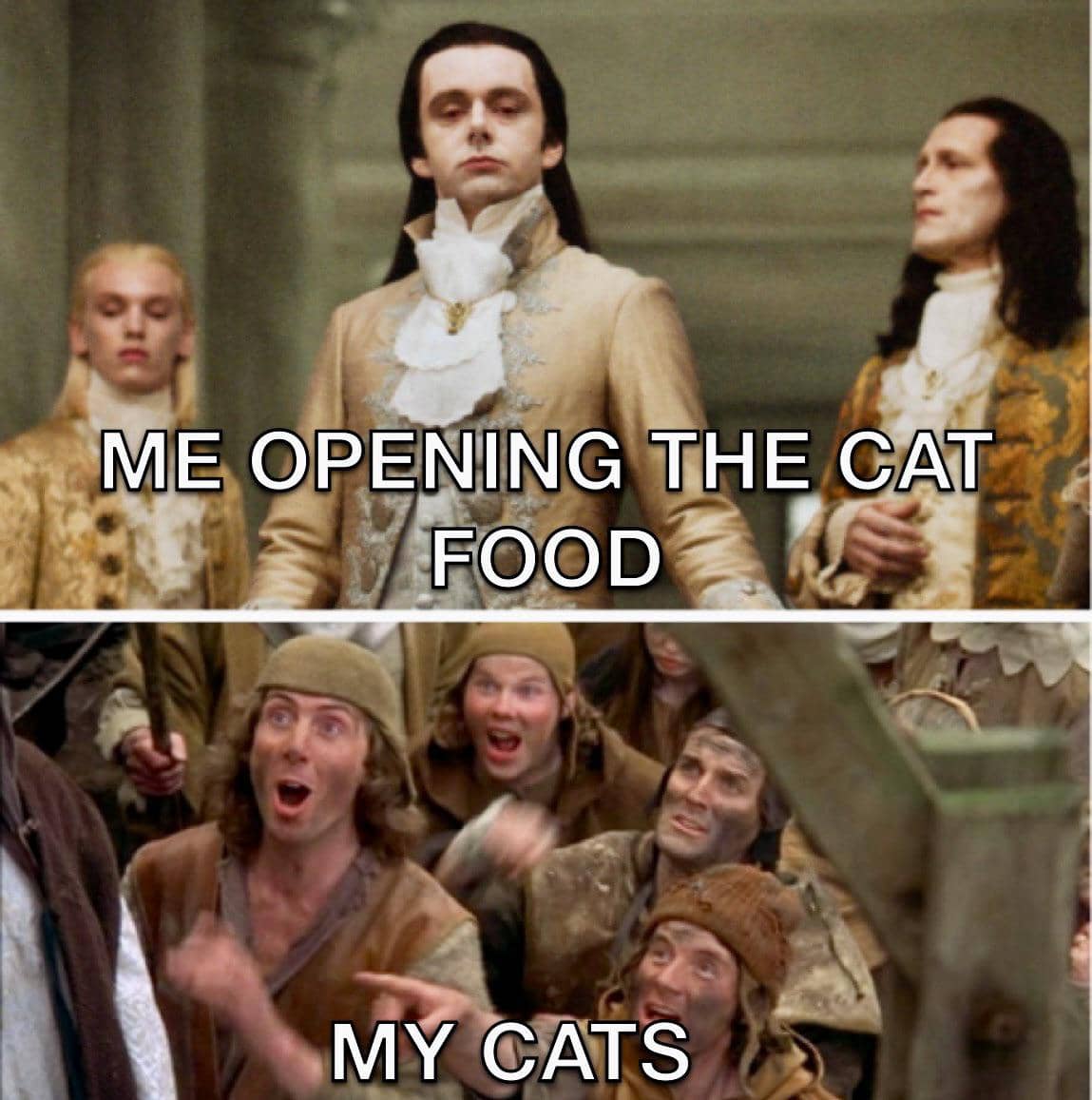 meme kucing tentang makanan kaleng