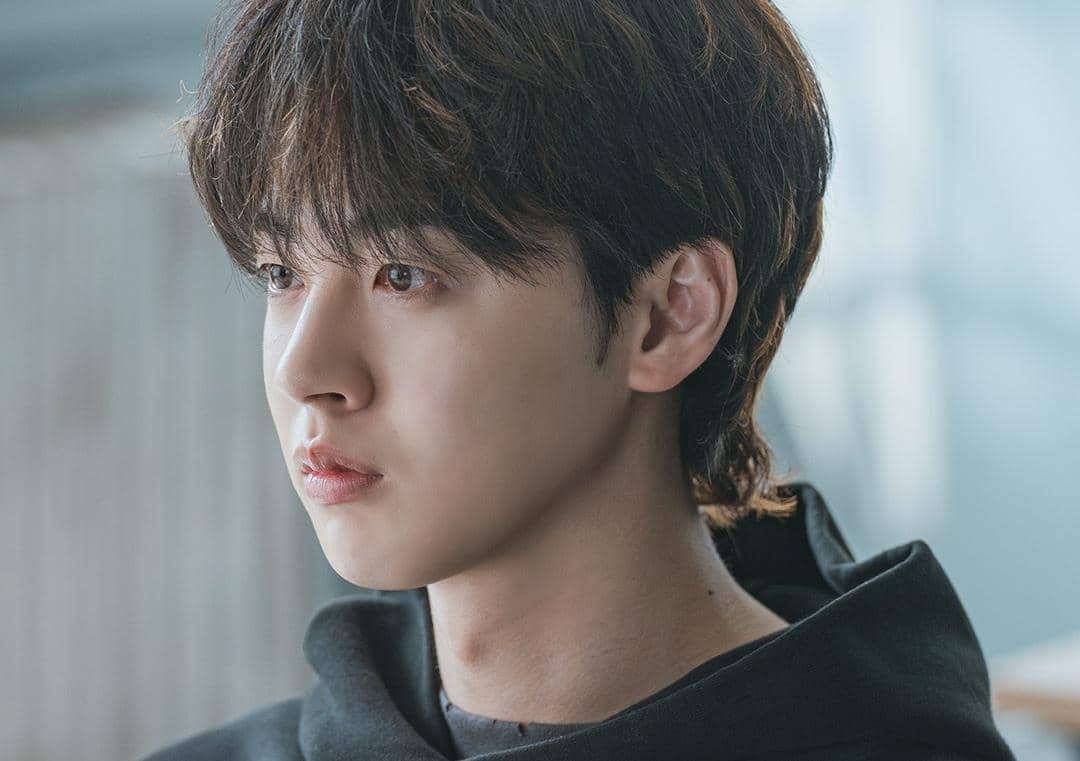 Kim Hyun Jin di drama Idol I