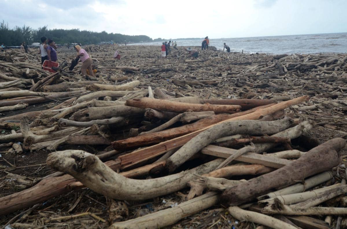 Sejumlah warga mengumpulkan kayu yang terdampar di Pantai Utara Desa Larangan, Kabupaten Tegal, Jawa Tengah, Senin (26/1/2026). (ANTARA FOTO/Oky Lukmansyah)
