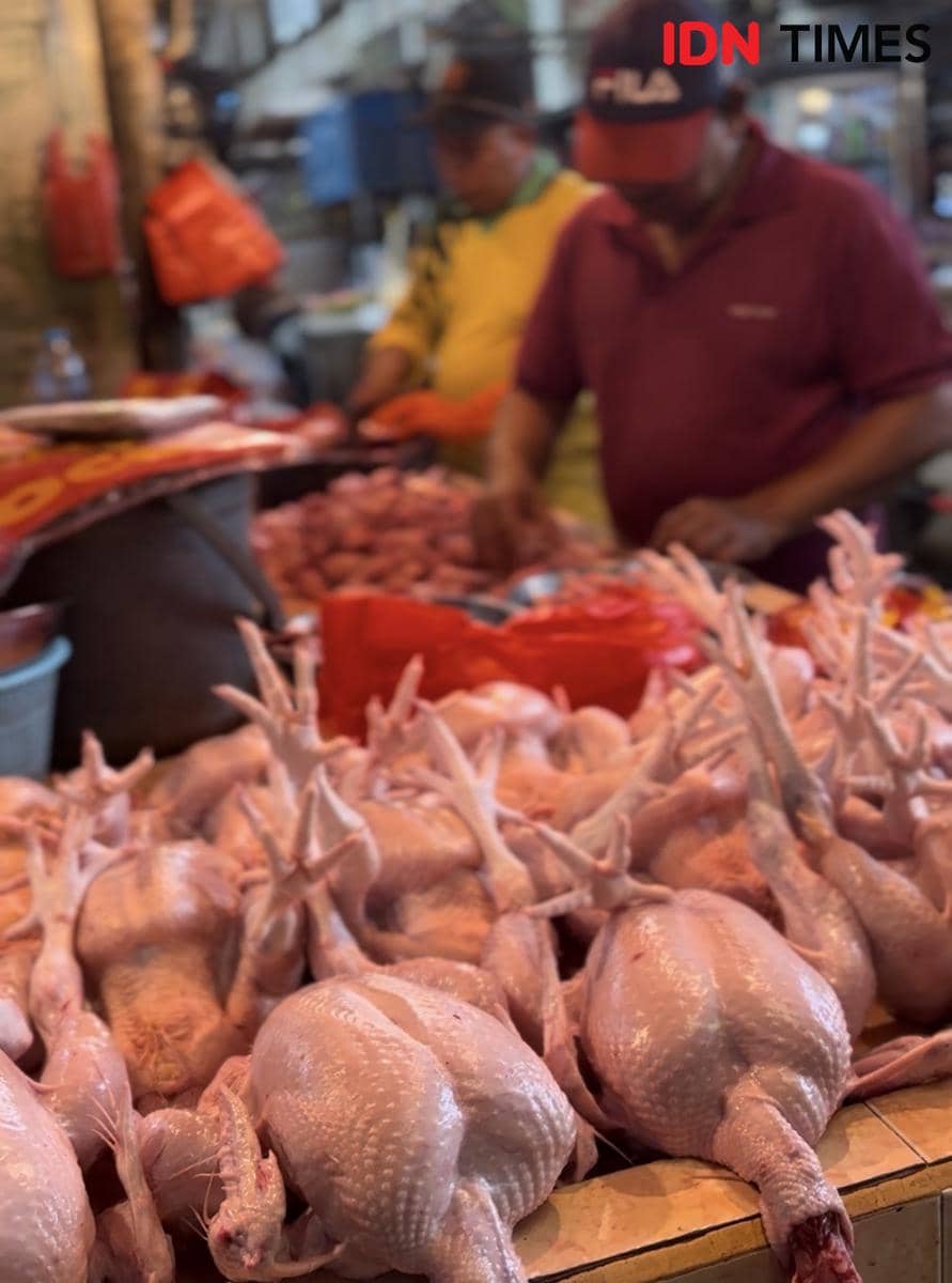 Stok ayam potong jelang Imlek aman.
