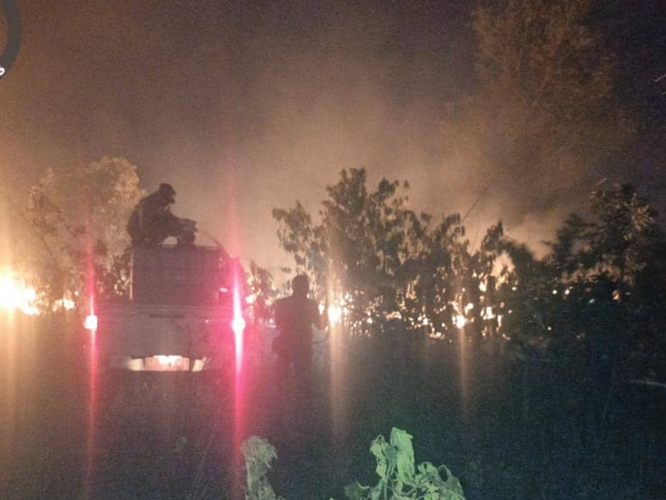 Potret karhutla di TNWK, Lampung Timur periode 25-26 Januari 2026.