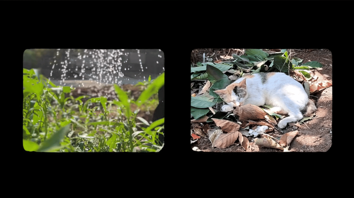 cuplikan MV Raih Tanahmu - Nosstress dan Rara Sekar Larasati