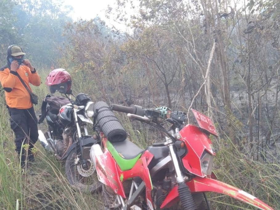 Potret karhutla di TNWK, Lampung Timur periode  25-26 Januari 2026. 