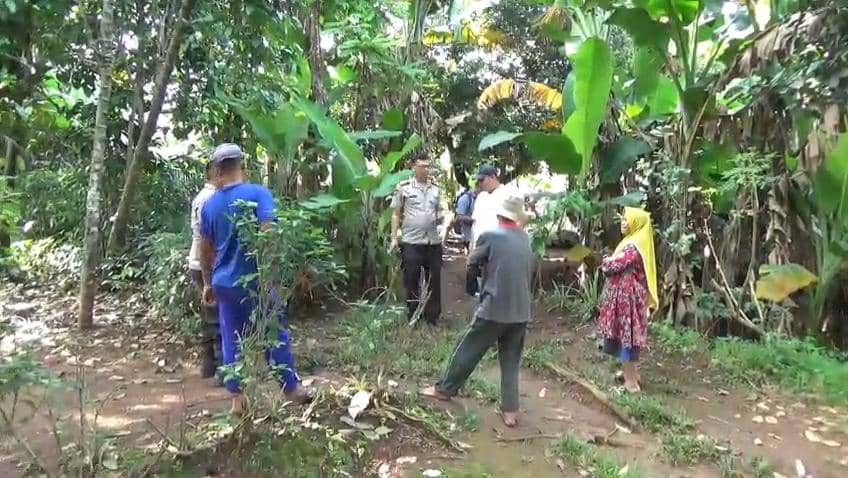 TKP pencurian kambing di Bekasi. (Istimewa) 