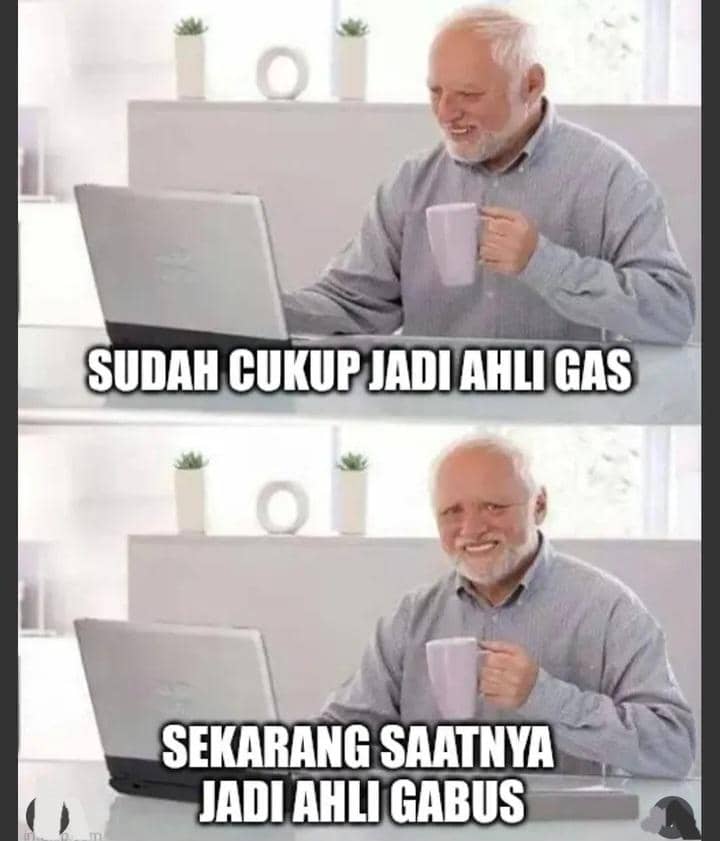 meme es gabus