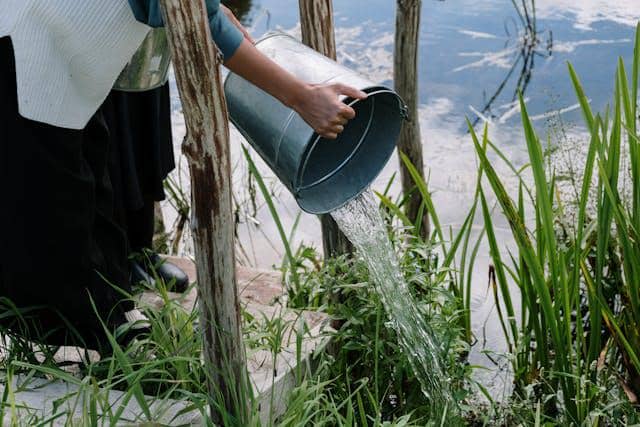 Tangan memakai sarung tangan membuang air tergenang dari wadah plastik untuk mencegah sarang nyamuk di lingkungan rumah.