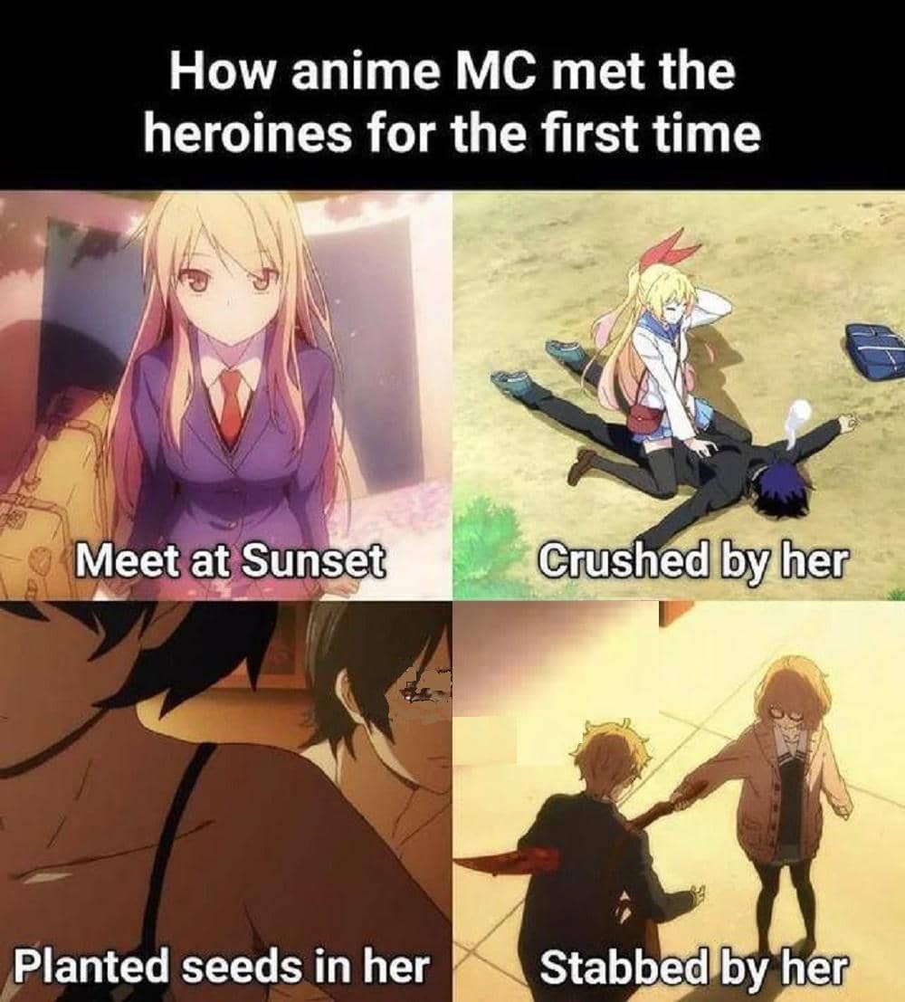 meme anime tentang heroine