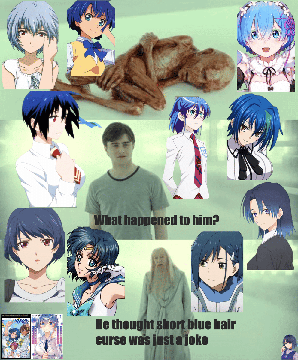 meme anime tentang heroine