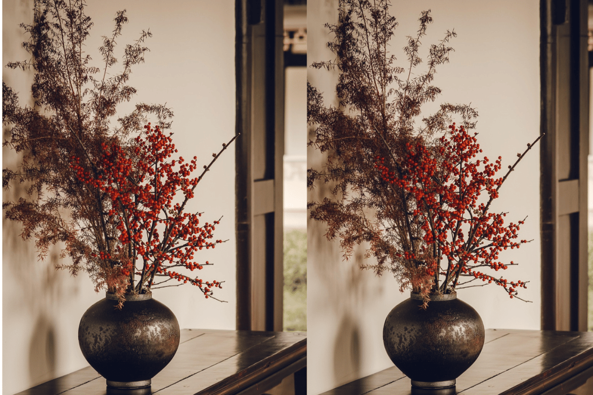 ilustrasi rating pussy willow