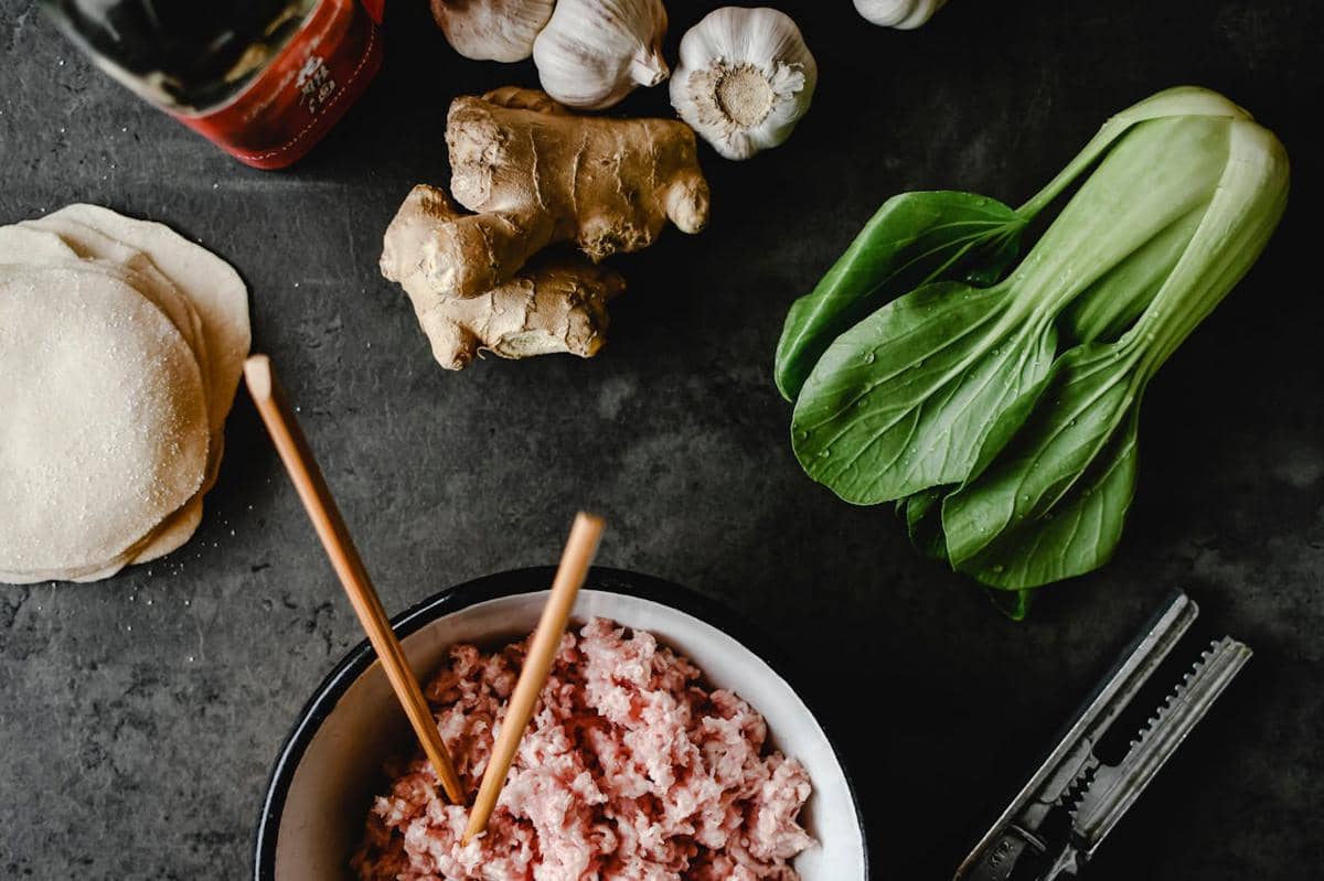 ilustrasi bahan gyoza