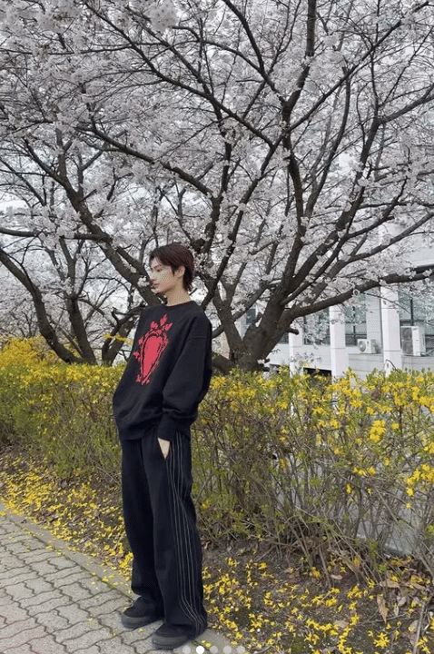 potret Jun SEVENTEEN