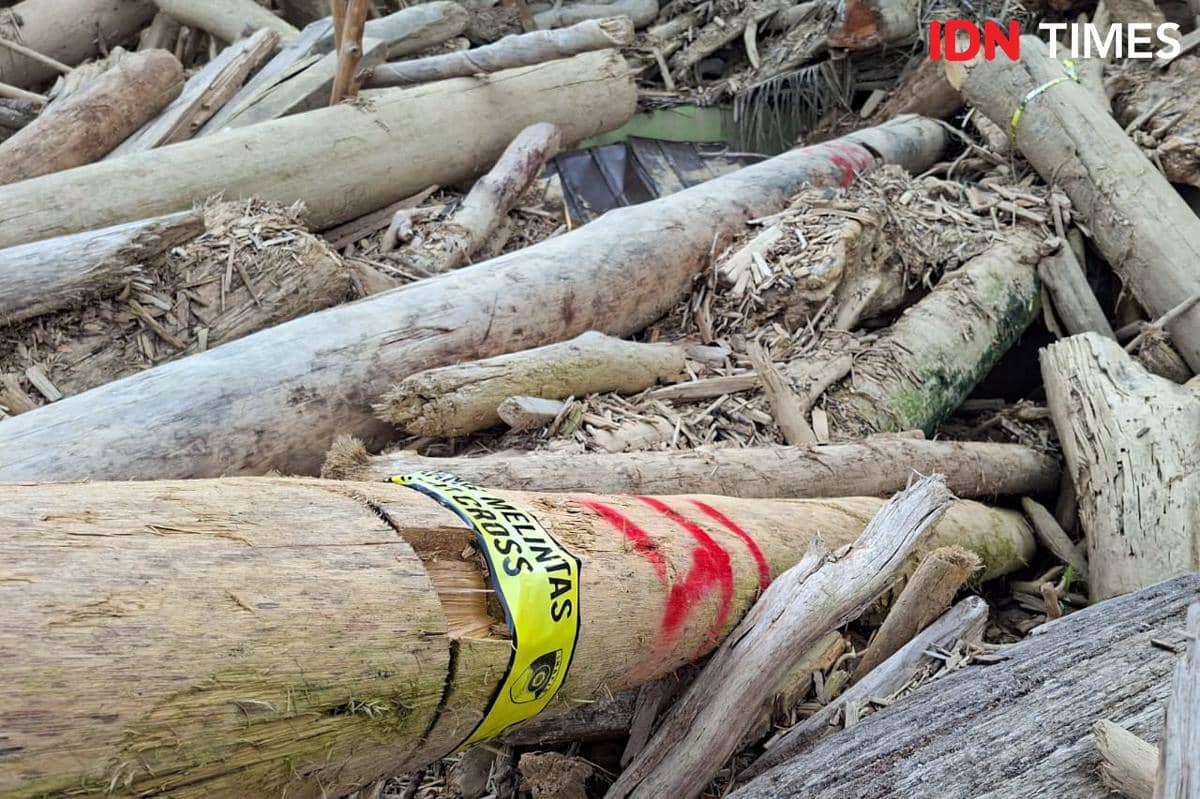 WhatsApp Image 2026-01-28 at 23.06.10.jpeg