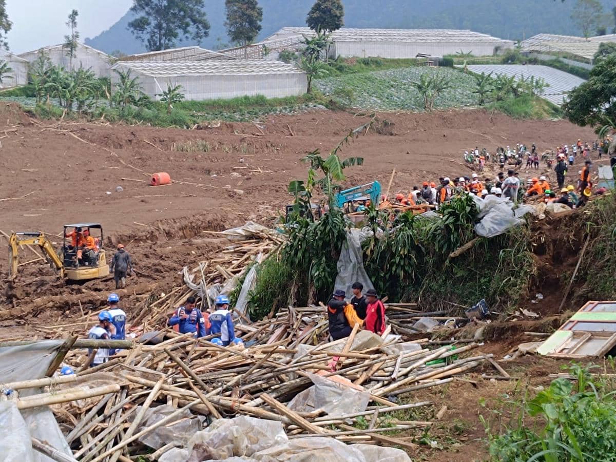 WhatsApp Image 2026-01-28 at 9.52.09 AM.jpeg