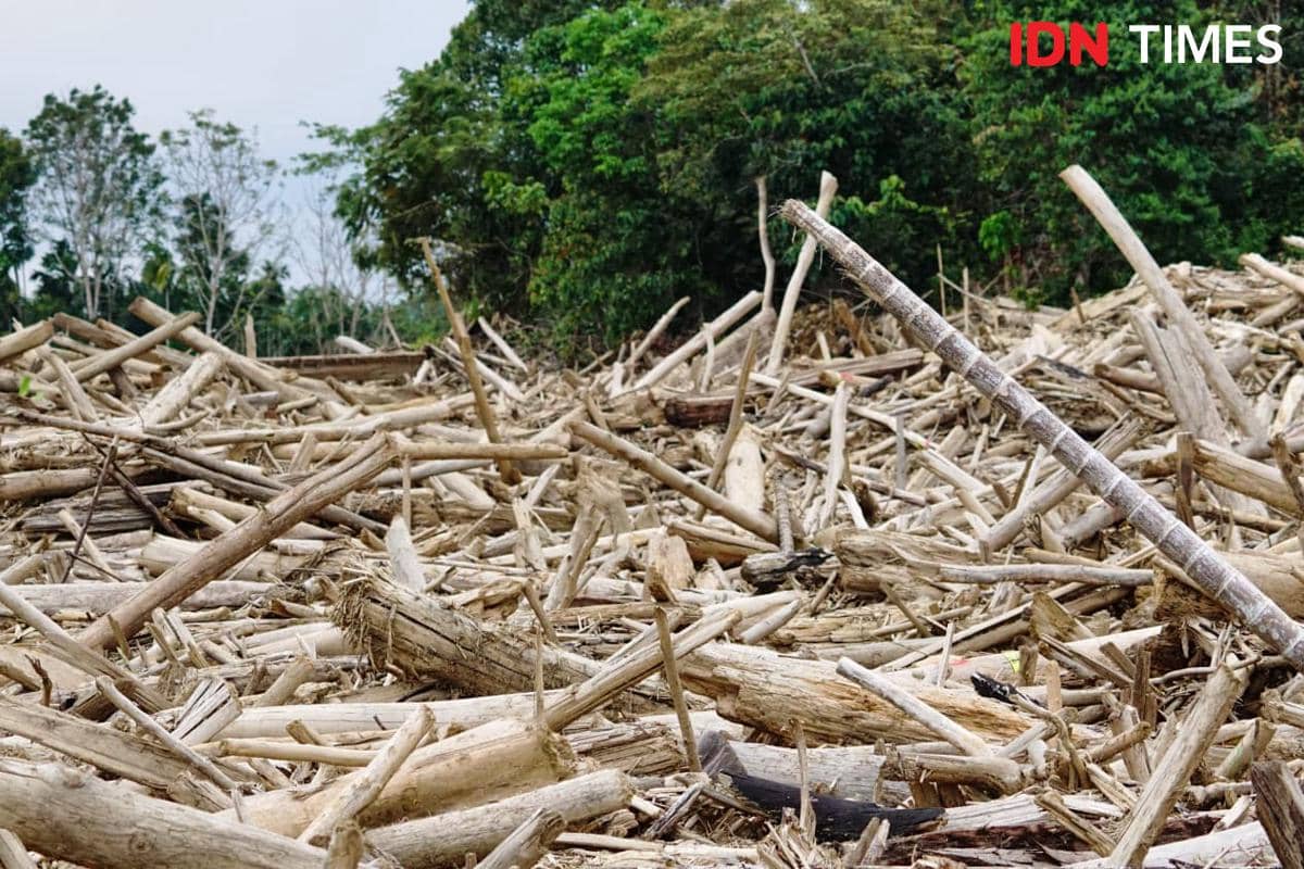 Puing kayu gelondongan pascabanjir di Kampung Sekumur, Kecamatan Sekerak, Kabupaten Aceh Tamiang, Aceh