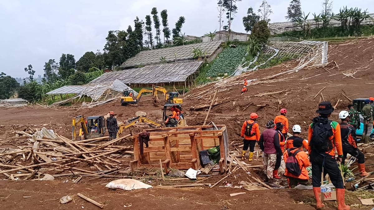 WhatsApp Image 2026-01-28 at 9.51.55 AM.jpeg