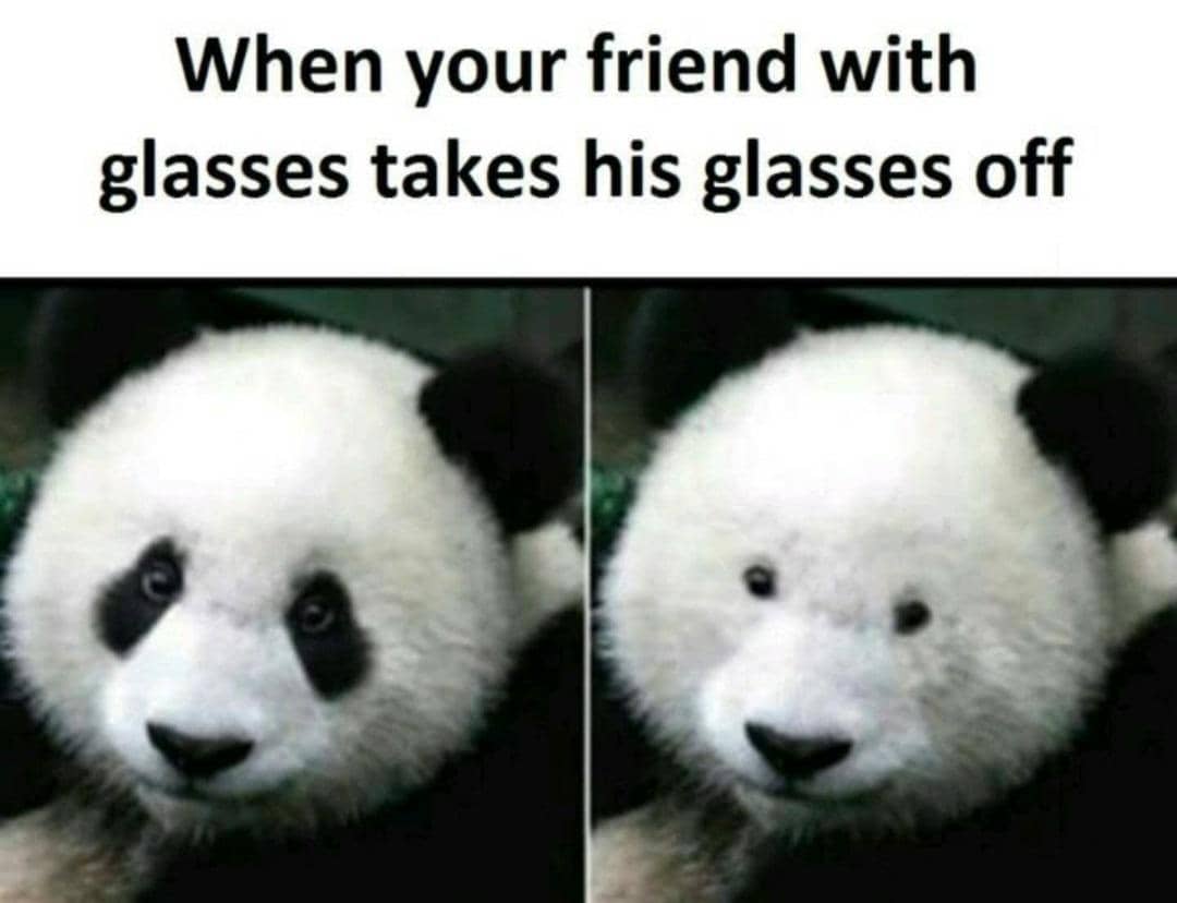 meme panda