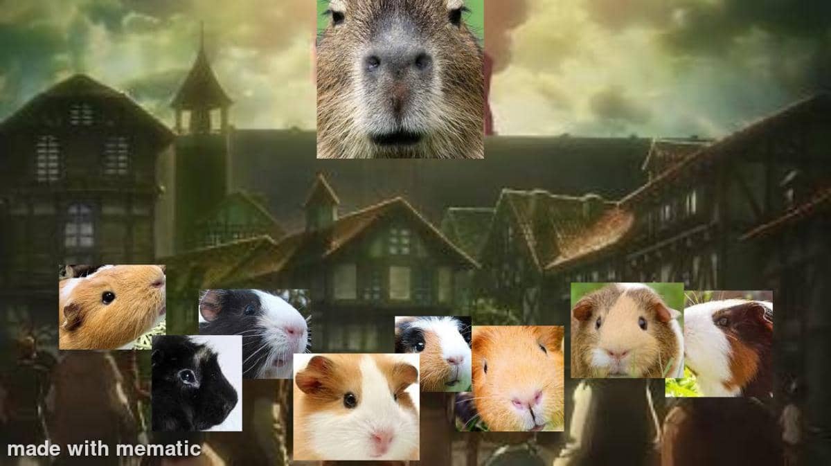 meme anime tentang kapibara