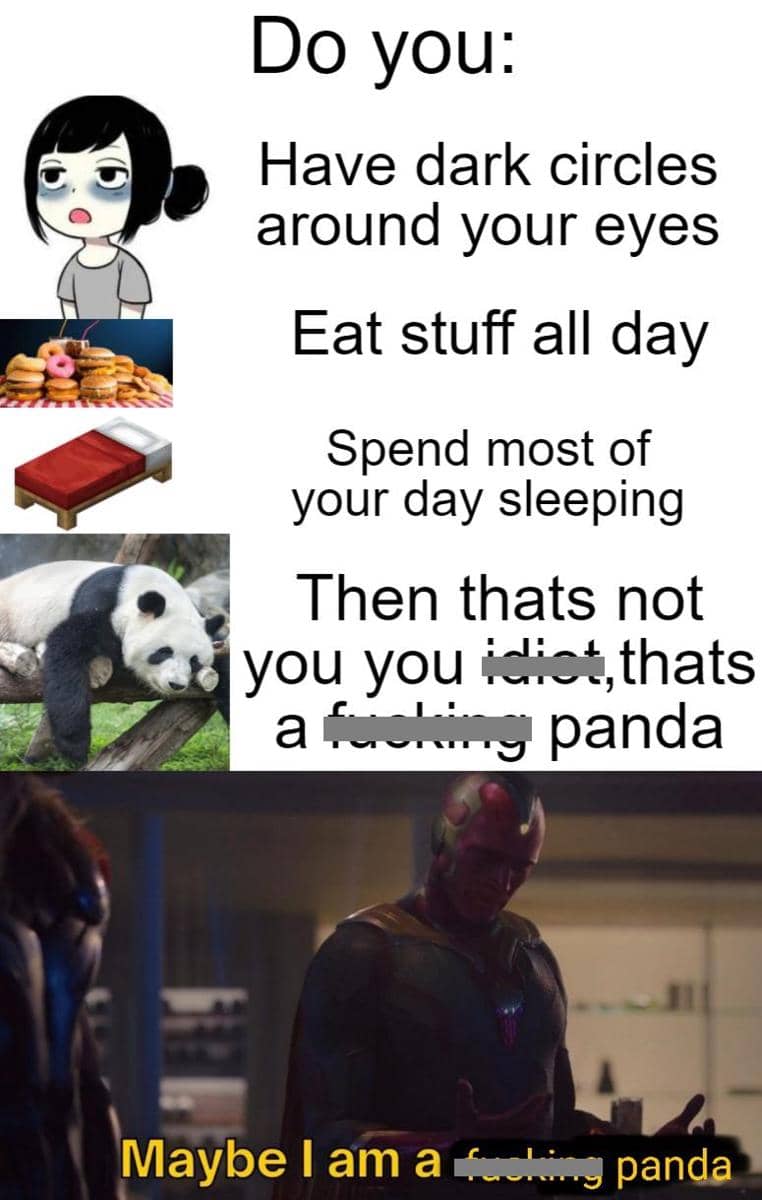 meme panda