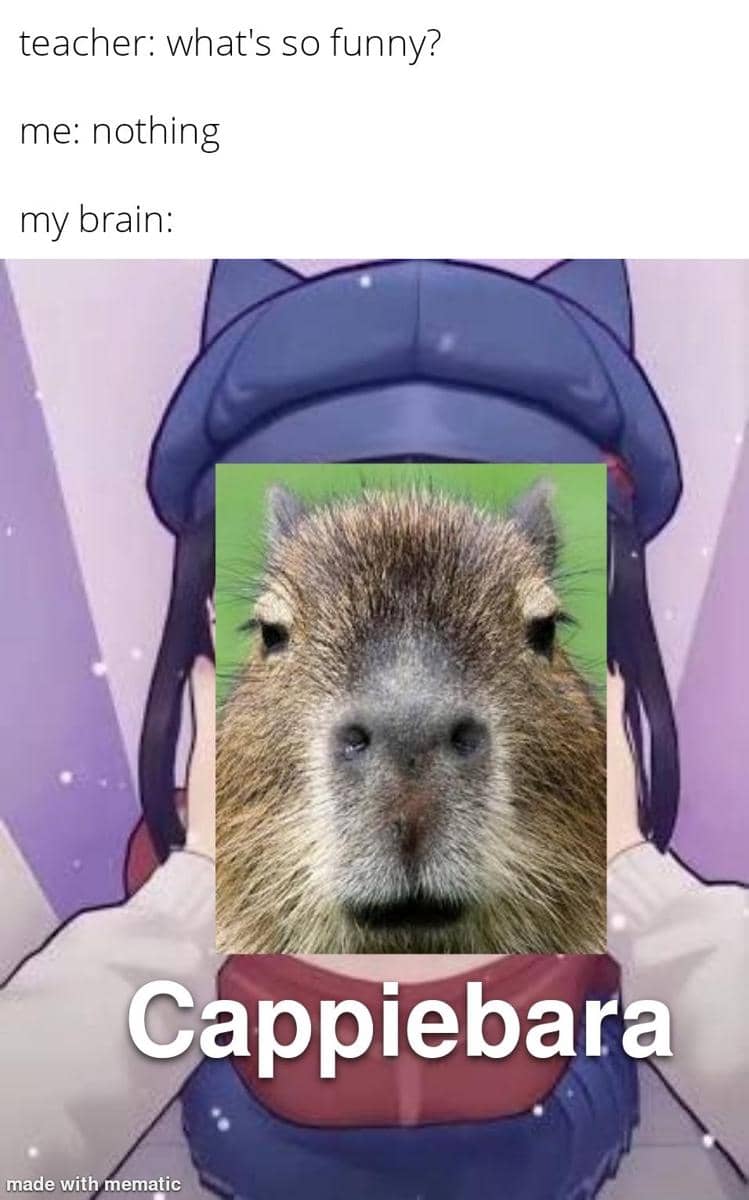 meme anime tentang kapibara