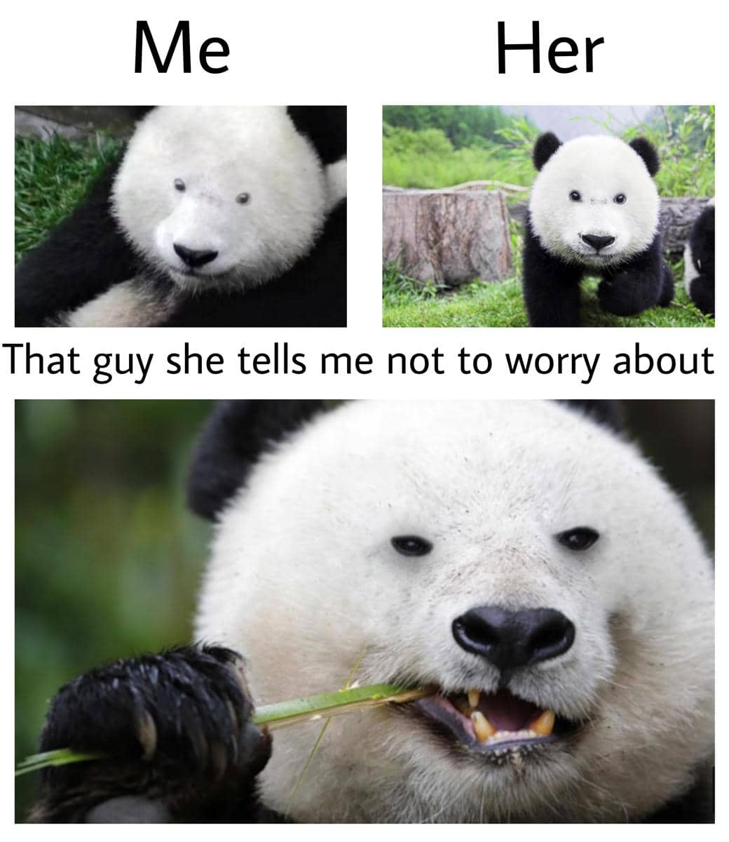 meme panda