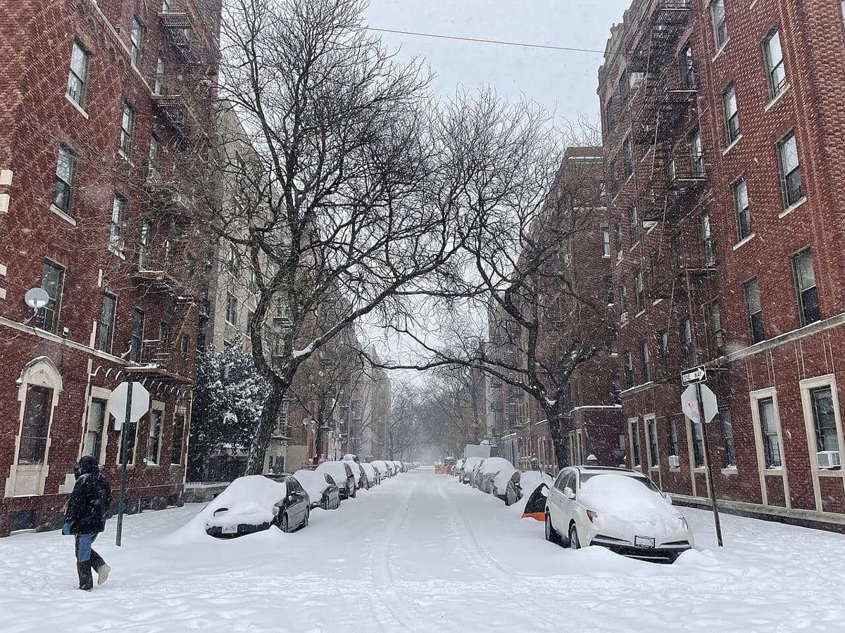 Crooke Ave, Brooklyn, NYC tertutup salju - Akhir Januari 2026 (Wil540 art, CC BY 4.0, via Wikimedia Commons)