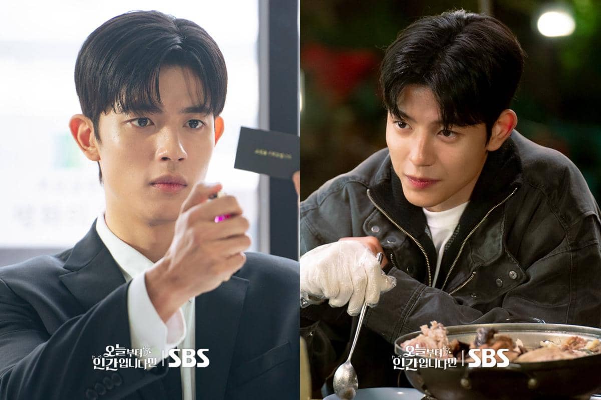 still cut drama No Tail to Tell