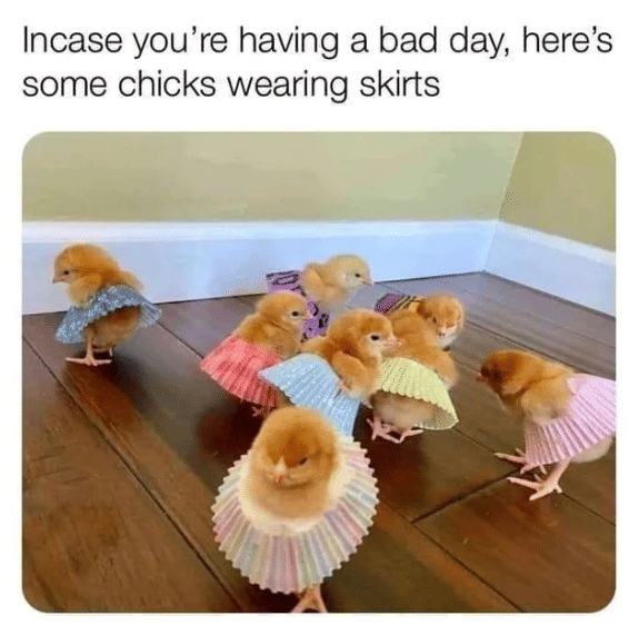 meme motivasi saat dapat hari yang buruk