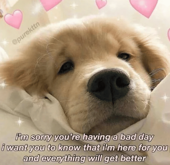 meme motivasi saat dapat hari yang buruk