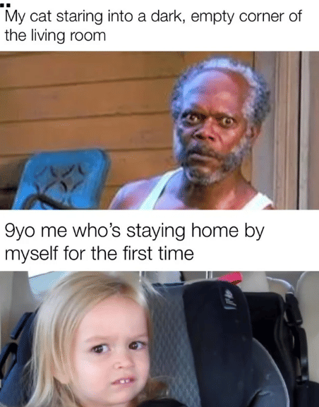 meme sorotan mata kucing bikin kena mental