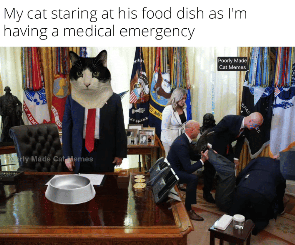 meme sorotan mata kucing bikin kena mental