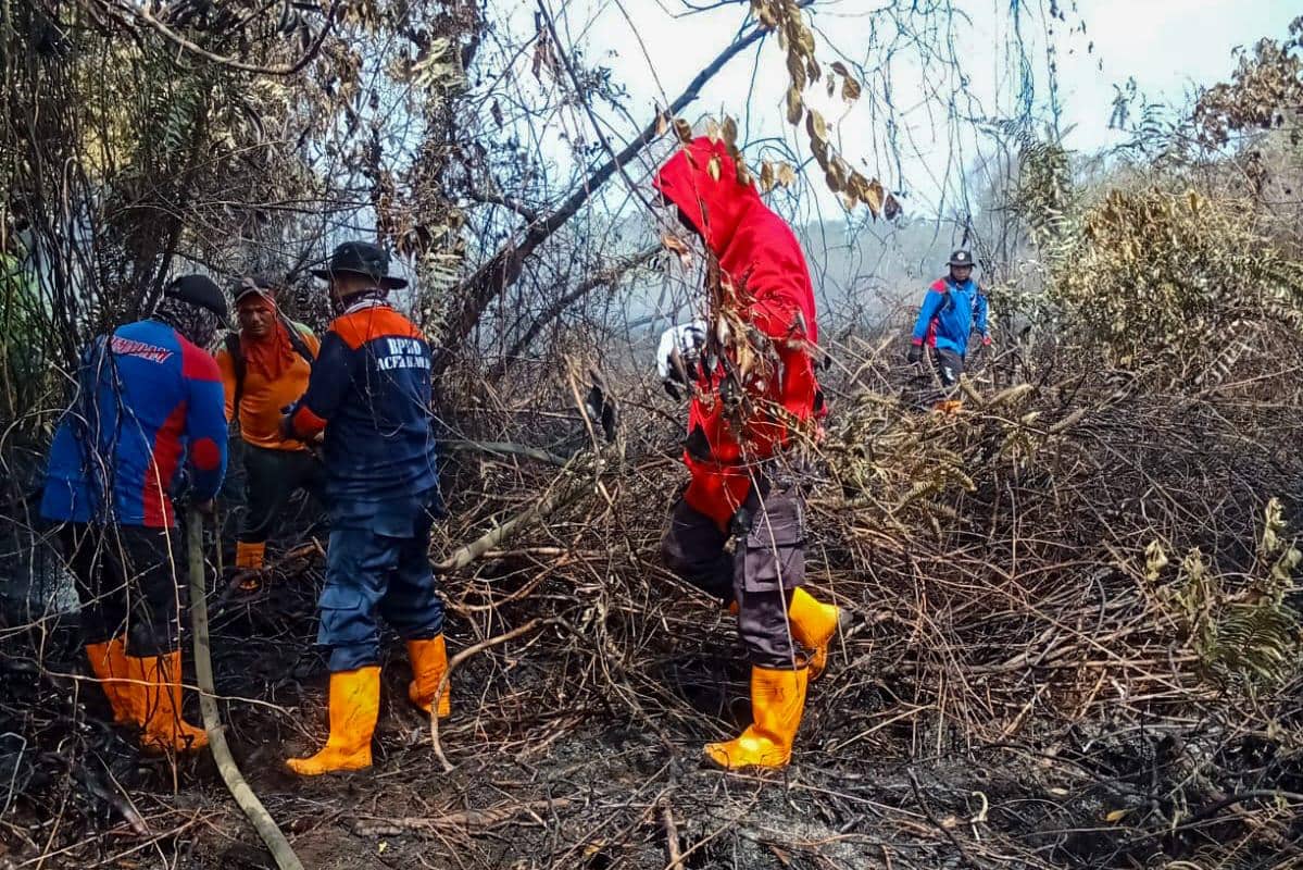 WhatsApp Image 2026-01-29 at 16.34.58 (1).jpeg