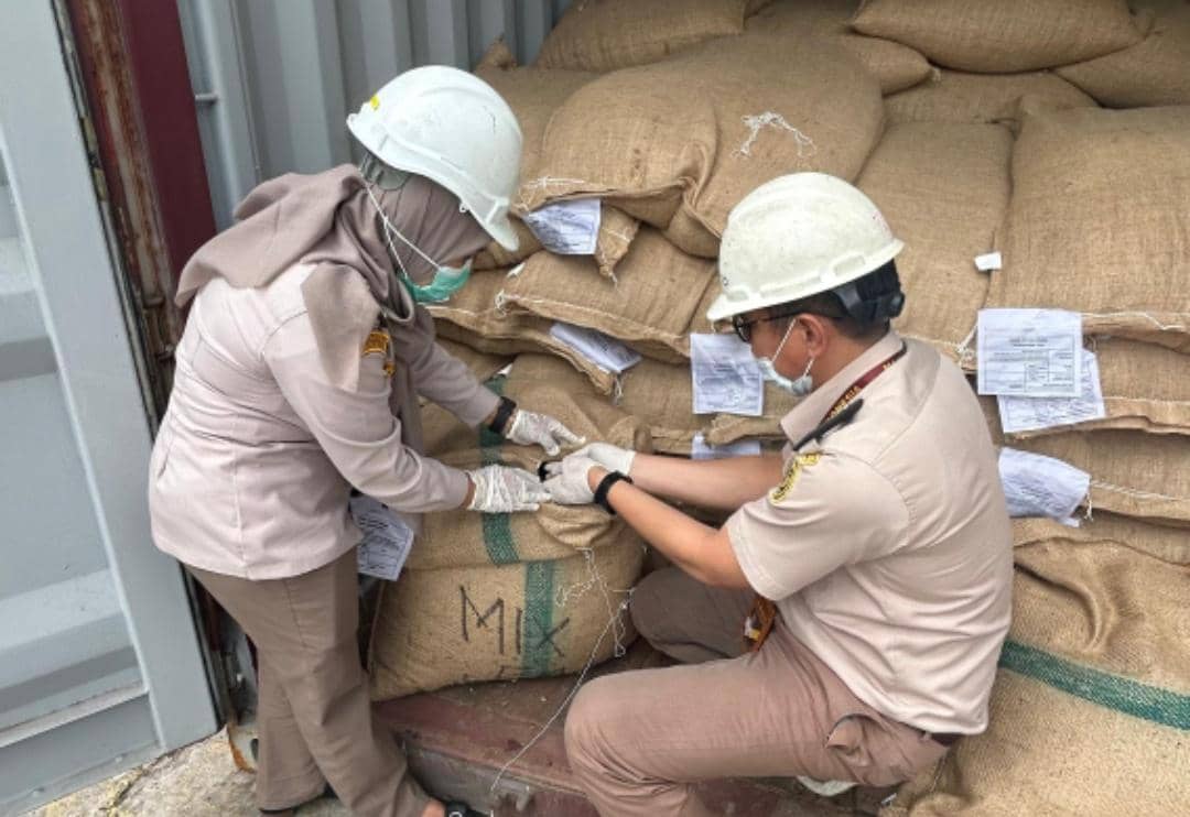 Pemeriksaan Kopi Robusta Pagar Alam sebelum ekspor ke Australia