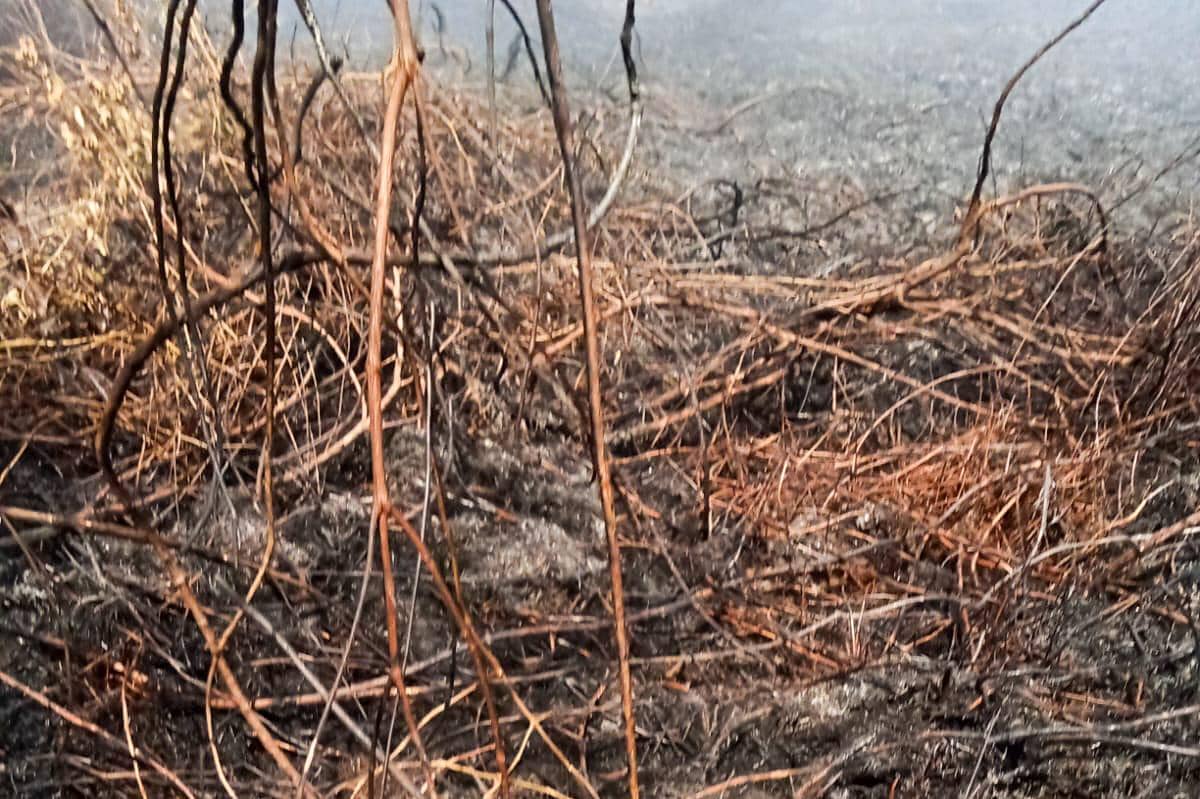 WhatsApp Image 2026-01-29 at 16.34.58.jpeg