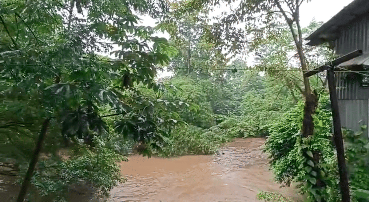 Ilustrasi Sungai Ciliwung. 