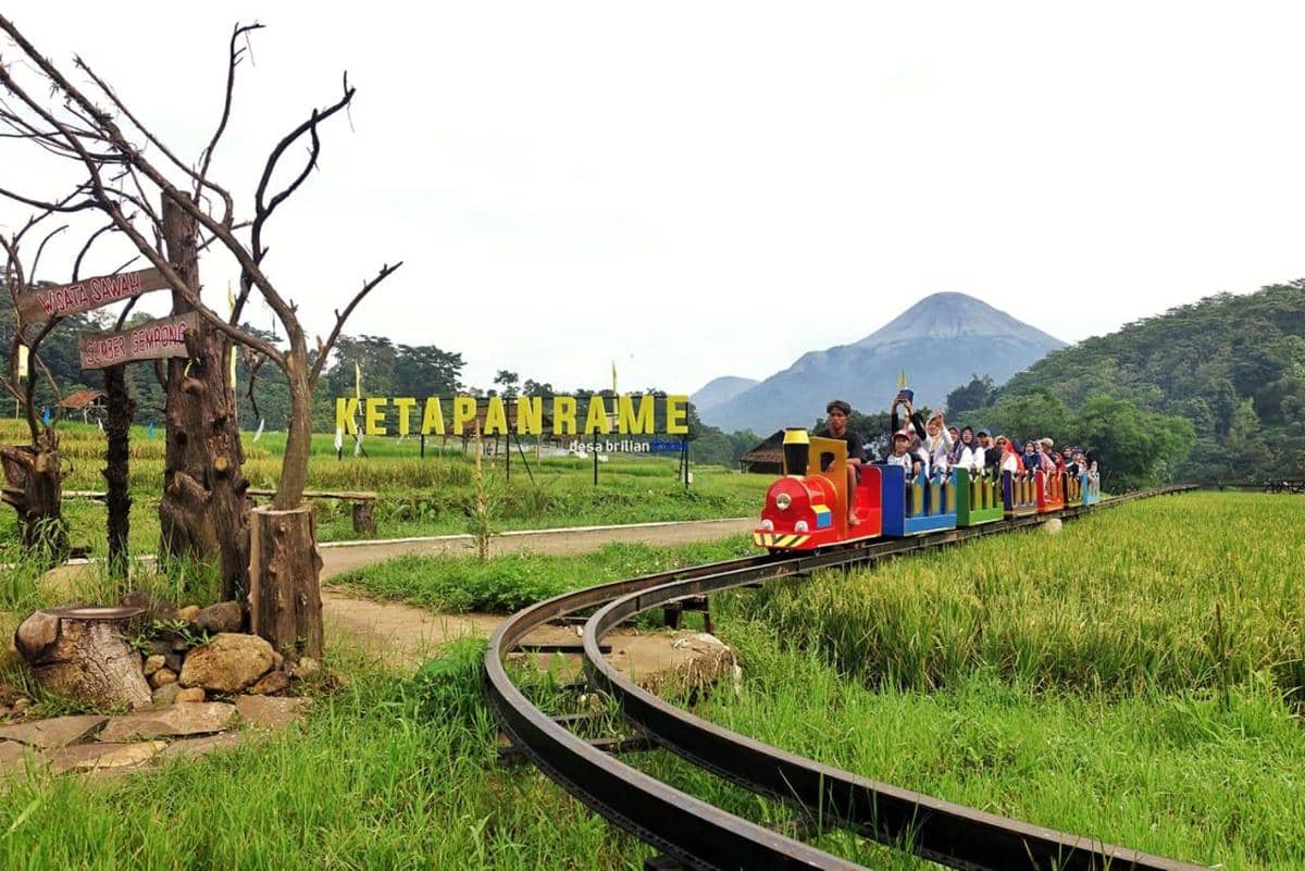 WhatsApp Image 2026-01-29 at 1.16.06 PM (1).jpeg