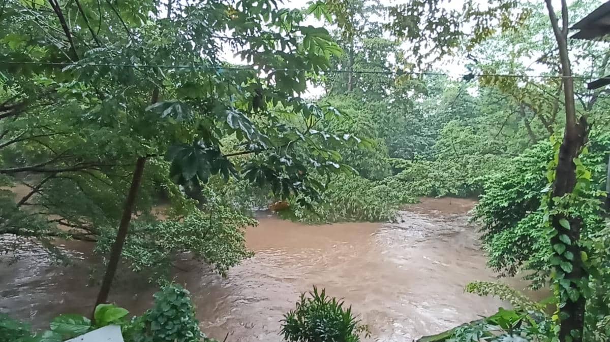 Ilustrasi Sungai Ciliwung.