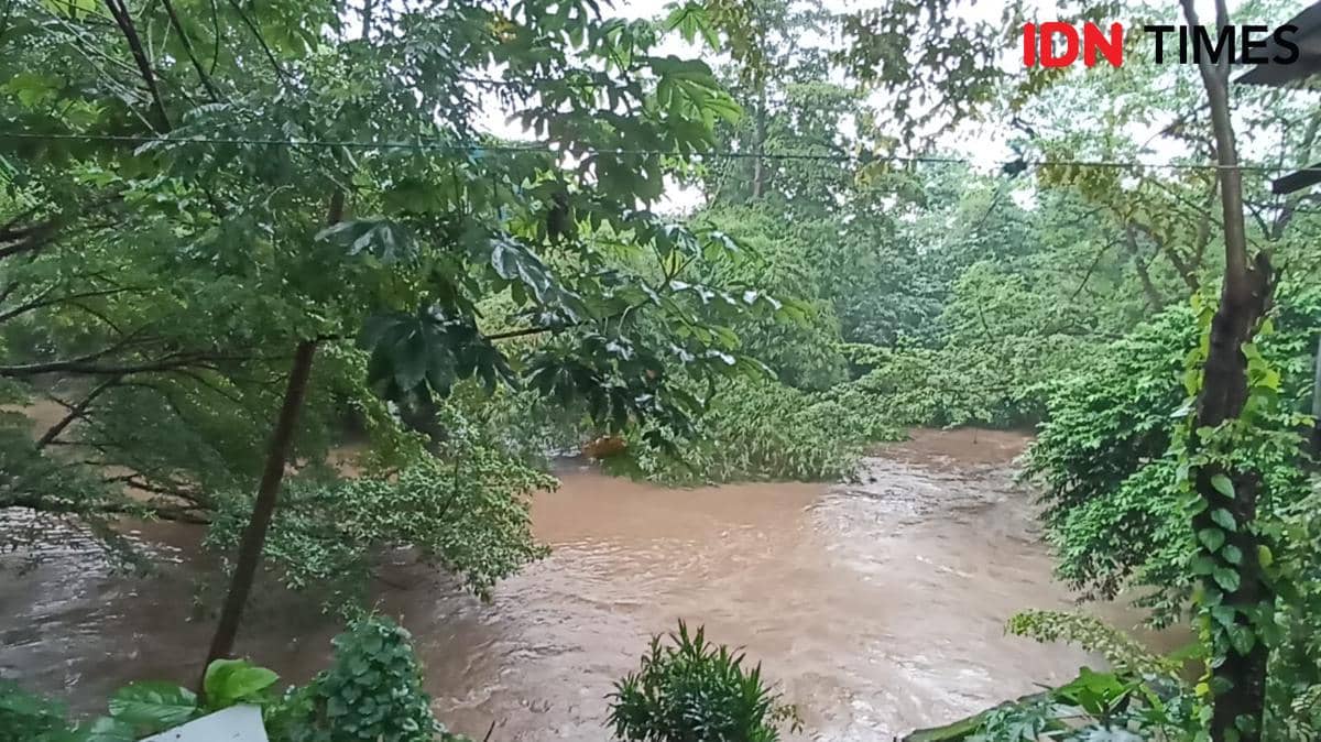 KLH Bersihkan Ikan Sapu-sapu dari Ciliwung, Pulihkan Ekosistem