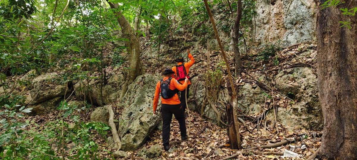 Tim SAR gabungan mencari seorang warga lanjut usia yang dilaporkan tersesat di kawasan hutan Kebun Alasa, Desa Tanete, Kecamatan Bontomatene, Kabupaten Kepulauan Selayar, Sulawesi Selatan. (Dok. Basarnas Makassar)
