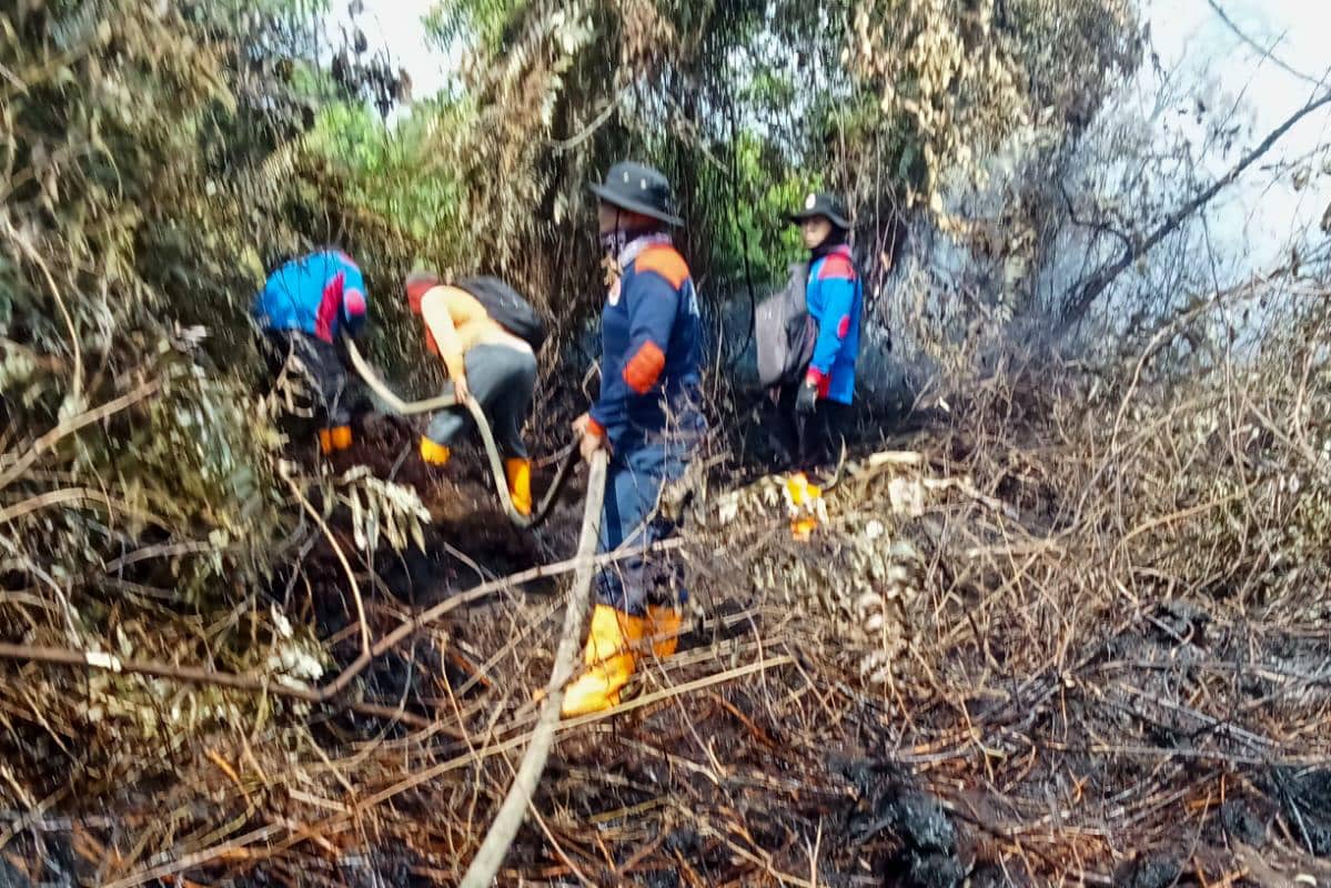 WhatsApp Image 2026-01-29 at 16.34.59.jpeg