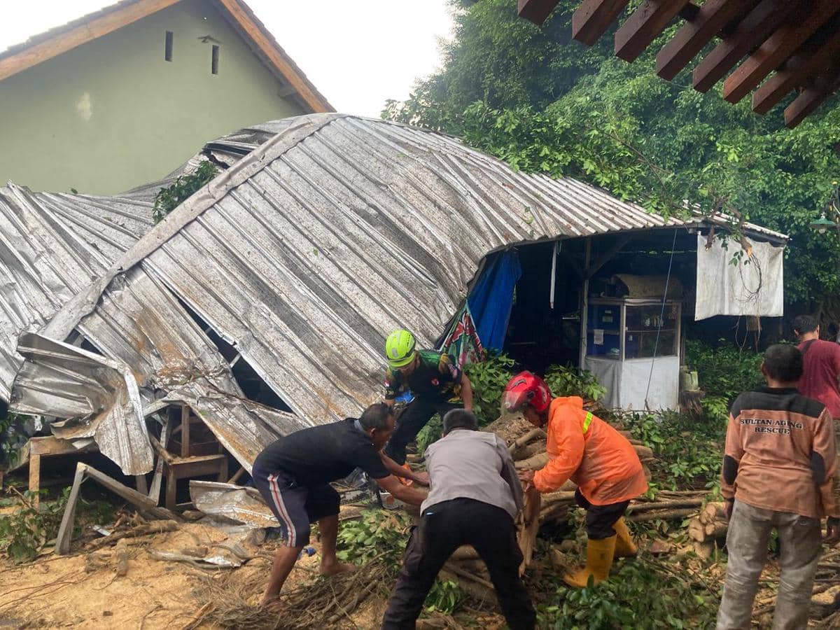 Pohon tumbang timpa tempat usaha. 