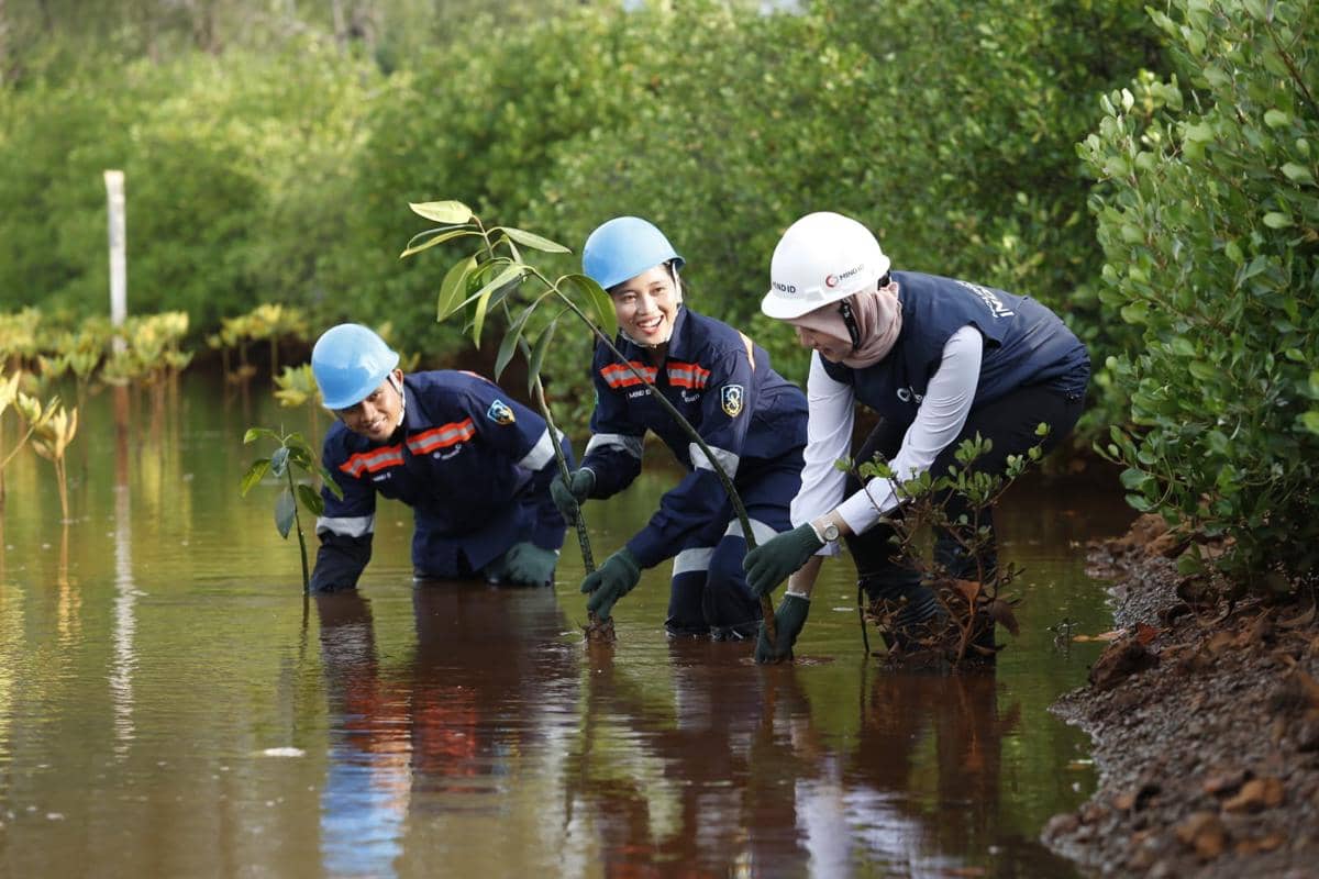 WhatsApp Image 2026-01-29 at 1.07.53 PM.jpeg