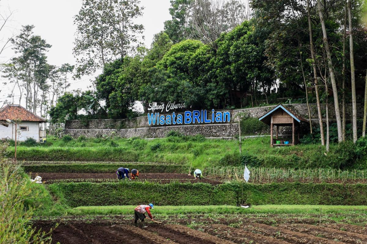 WhatsApp Image 2026-01-29 at 1.16.07 PM.jpeg