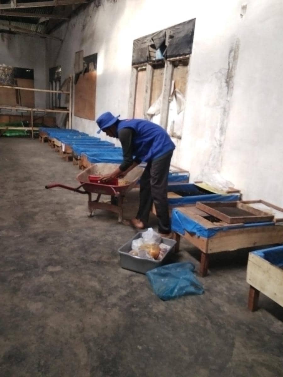 Pengelolahan sampah yang dilakukan DLH Binjai ciptakan magotdan cacing susu jadikan kota bersih dan sejahtera (IDN Times/ dok DLH Binjai) 