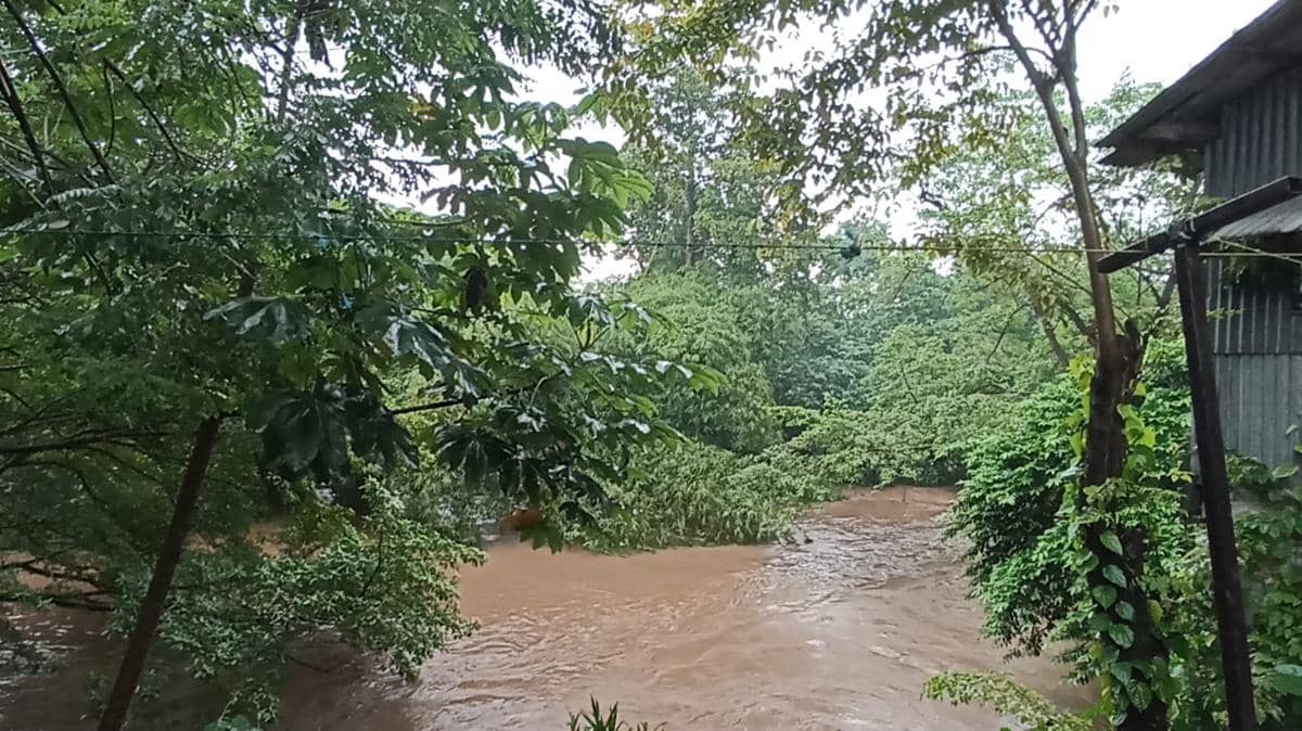 Ilustrasi Sungai Ciliwung. 