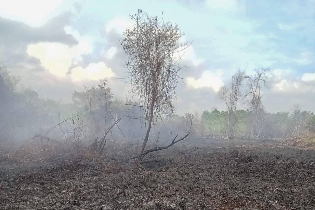 WhatsApp Image 2026-01-29 at 16.34.59 (1).jpeg