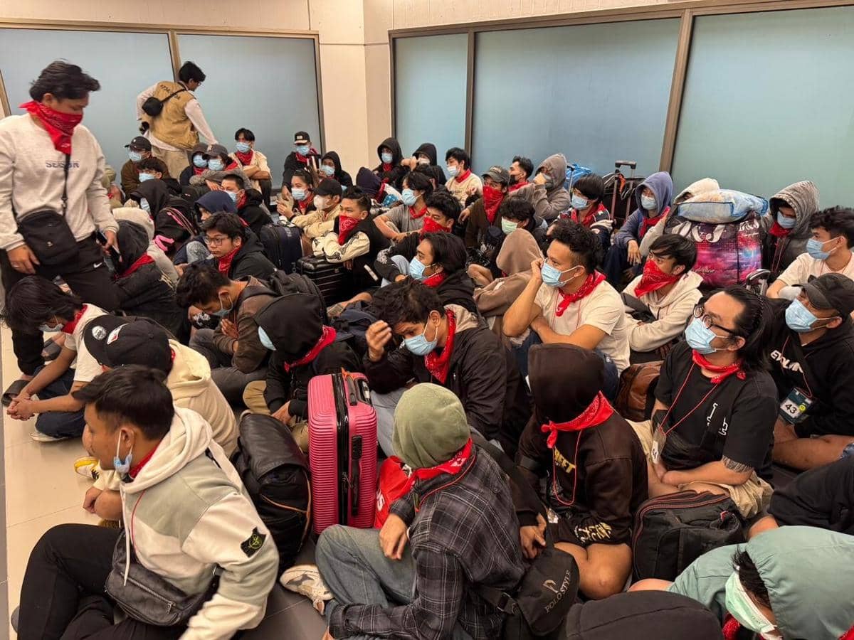 ilustrasi pemulangan WNI