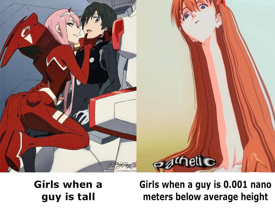 meme anime tentang tinggi