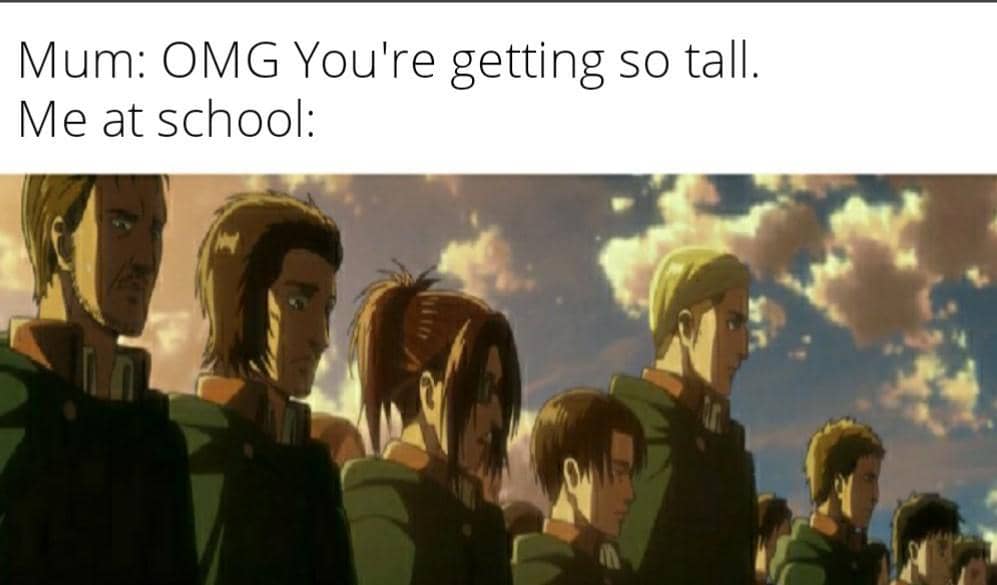 meme anime tentang tinggi